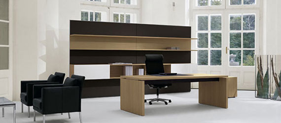 Executive Ergonomic Modular Office Systems, Modular Executive Workstations, Modular Office Executive Furniture